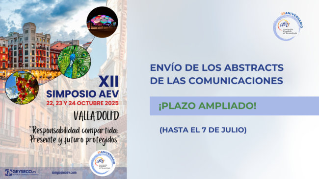 Imágenes web (8)
